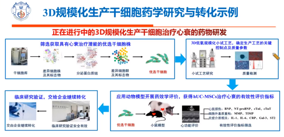 贾文文博士：干细胞成药的思考与探索