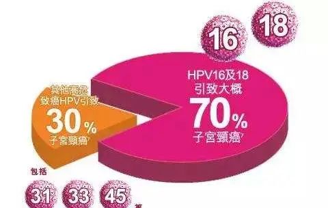 看看免疫细胞如何攻击宫颈癌细胞，从此不再“谈癌色变”