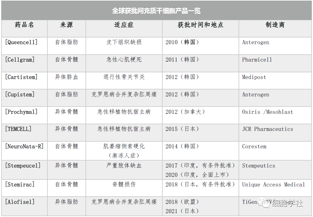 道阻且长，关于“间充质干细胞基础和临床”的完美总结