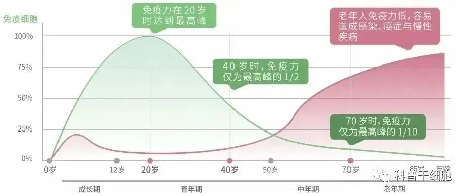 回输50亿NK细胞后，她的身体机能与生活质量显著提高！