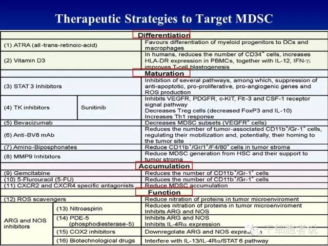 免疫细胞家族成员：MDSCs