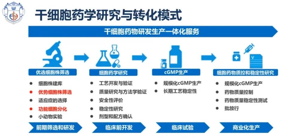 贾文文博士：干细胞成药的思考与探索