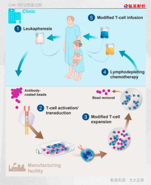 「异体」崛起之日，CAR-T降价之时？