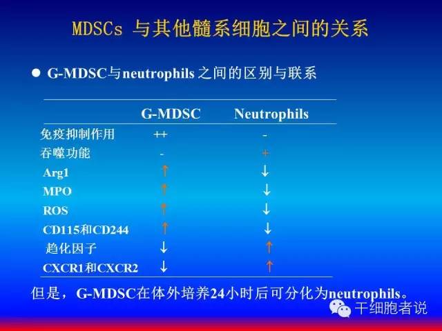 免疫细胞家族成员：MDSCs