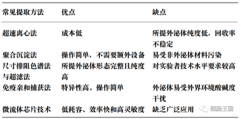 被吵得火热的“外泌体护肤品”，你了解多少？