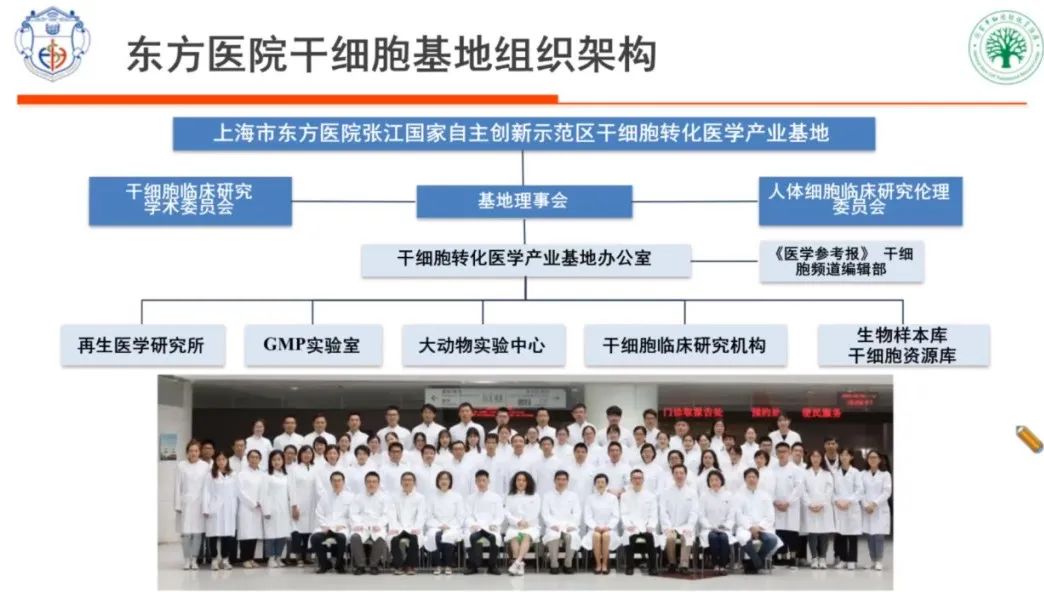 贾文文博士：干细胞成药的思考与探索