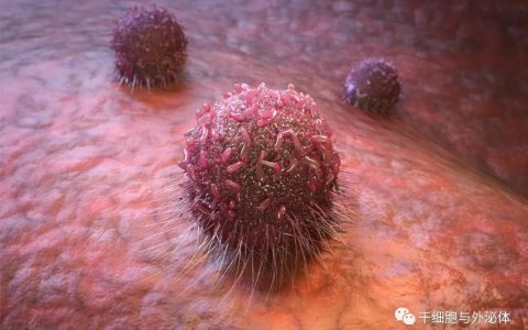 Leukemi | 将癌细胞转变为正常细胞
