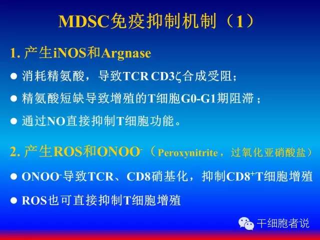 免疫细胞家族成员：MDSCs