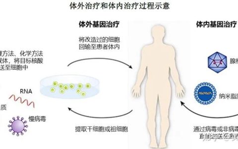 2022年国内细胞基因治疗领域投融资汇总