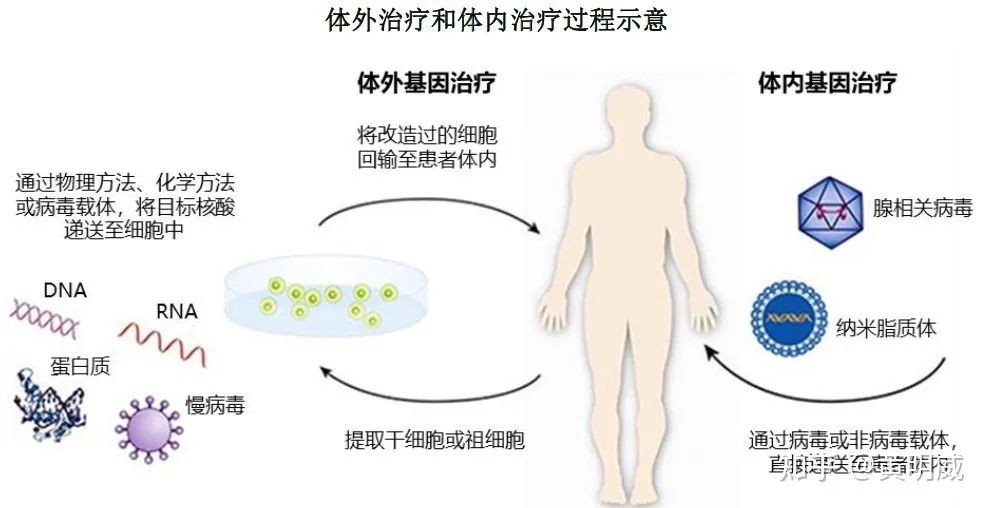 2022年国内细胞基因治疗领域投融资汇总