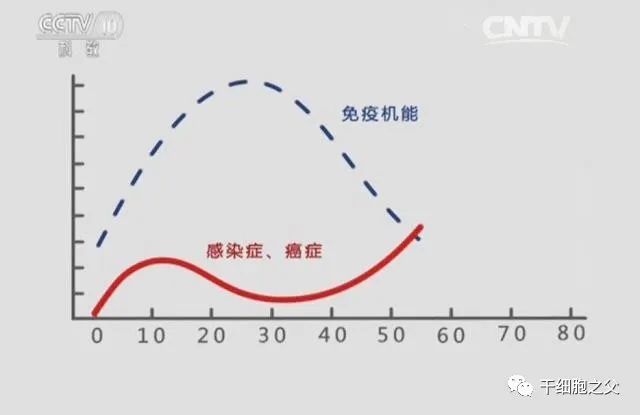 一文读懂：免疫细胞治疗癌症的原理
