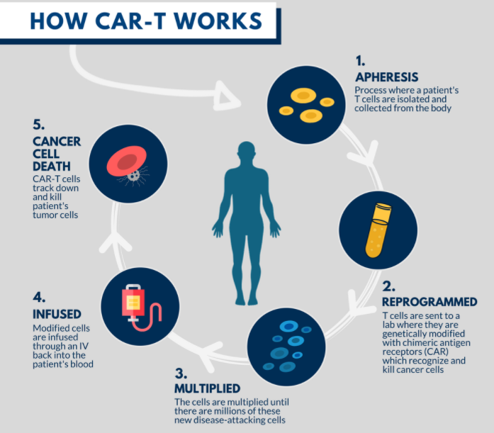 一篇文章带你深入了解CAR-T细胞疗法