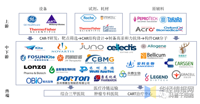 2022年中国CAR-T细胞治疗市场空间、专利情况及重点企业分析