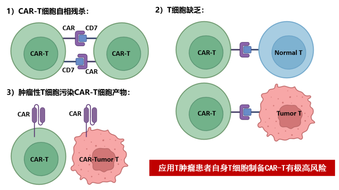 Cell Research | 浙大一院黄河教授团队发表论文 通用型CAR-T细胞为T系血液肿瘤治疗带来新突破