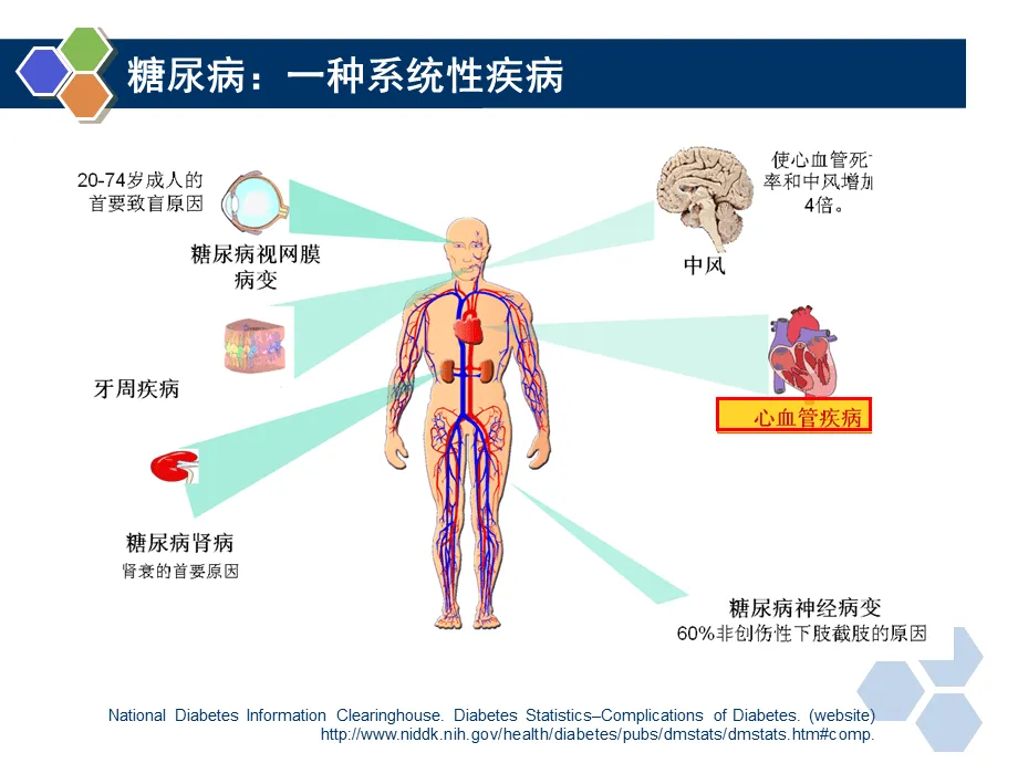 干细胞不仅改善血糖，亦通过旁分泌机制保护血管免受损伤