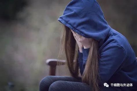抑郁症 |《细胞研究》苏州大学团队破解抑郁症损害免疫系统之谜！