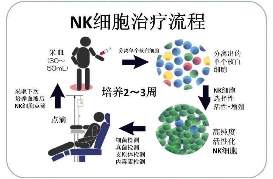 细谈NK细胞免疫疗法是如何成为维持年轻和健康的密码！