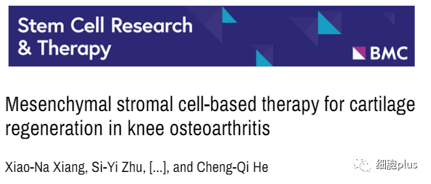 华西医院何成奇教授 |干细胞治疗骨关节炎 如何改进才能提高疗效