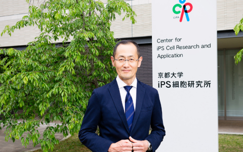 iPSC细胞疗法在日本的临床研究