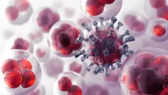细谈NK细胞免疫疗法是如何成为维持年轻和健康的密码！
