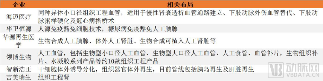 千亿市场规模，器官再生、再生材料、干细胞……再生医学全面开花