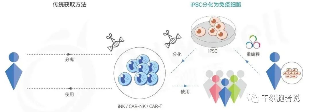 俞君英博士：iPSC技术从实验室到临床转化