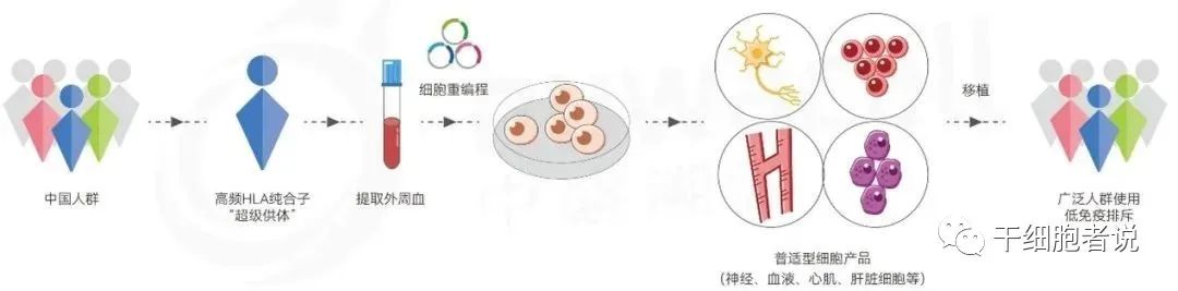 俞君英博士：iPSC技术从实验室到临床转化