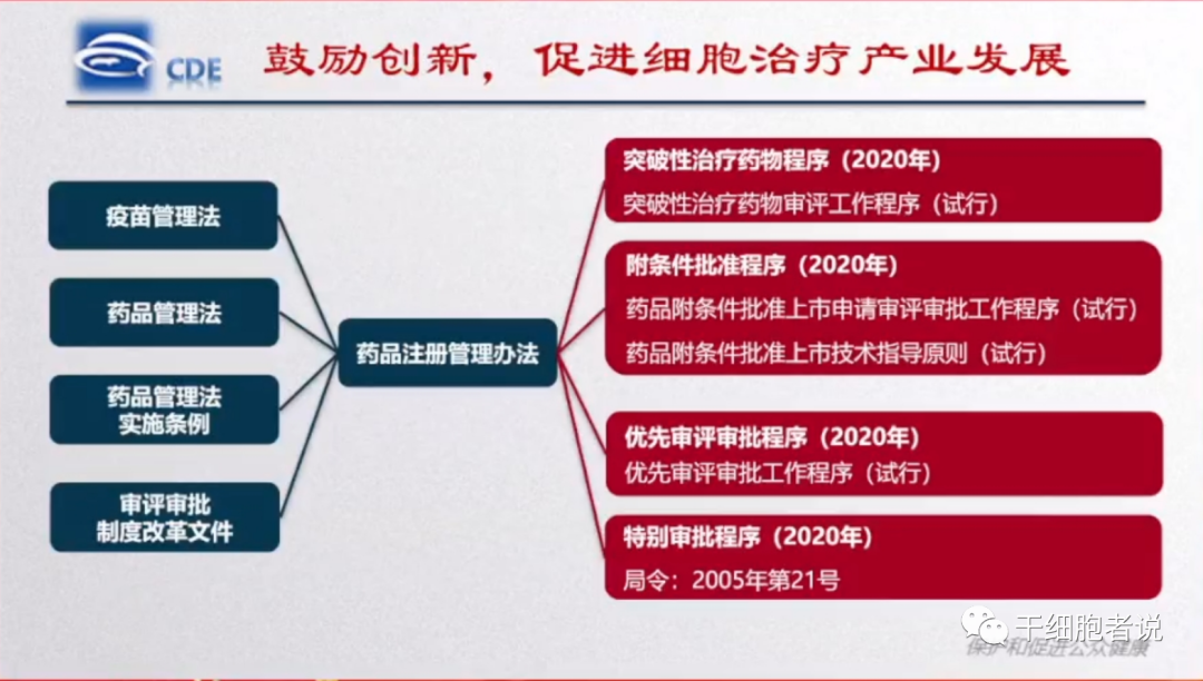 高晨燕：细胞治疗产品监管政策的发展和思考