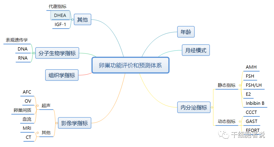 卵巢到底有何用，干细胞如何化解现代女性卵巢危机？