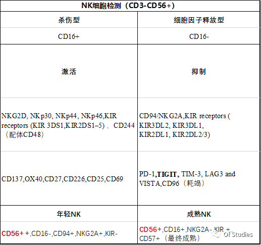 NK细胞学习