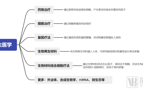 千亿市场规模，器官再生、再生材料、干细胞……再生医学全面开花