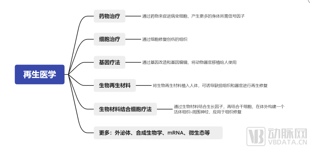 千亿市场规模，器官再生、再生材料、干细胞……再生医学全面开花