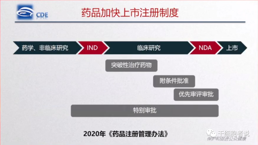 高晨燕：细胞治疗产品监管政策的发展和思考