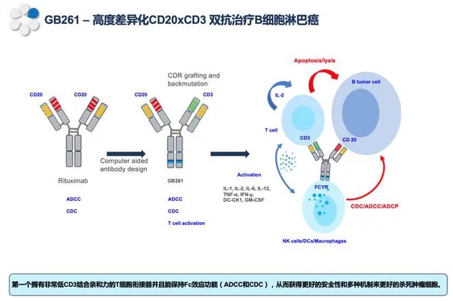 天广实生物CD3/CD20双抗IND获得受理，国内哪些企业正在路上？