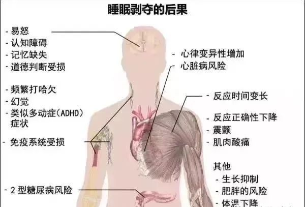 回输干细胞明显改善睡眠质量