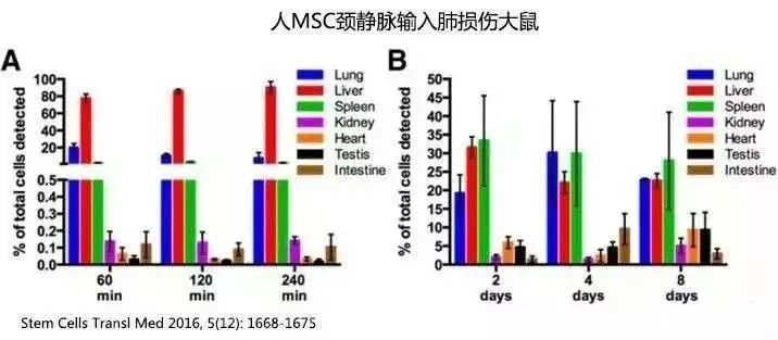 实验有效证明“干细胞的归巢作用不会受限于治疗方式”（局部或全身性）