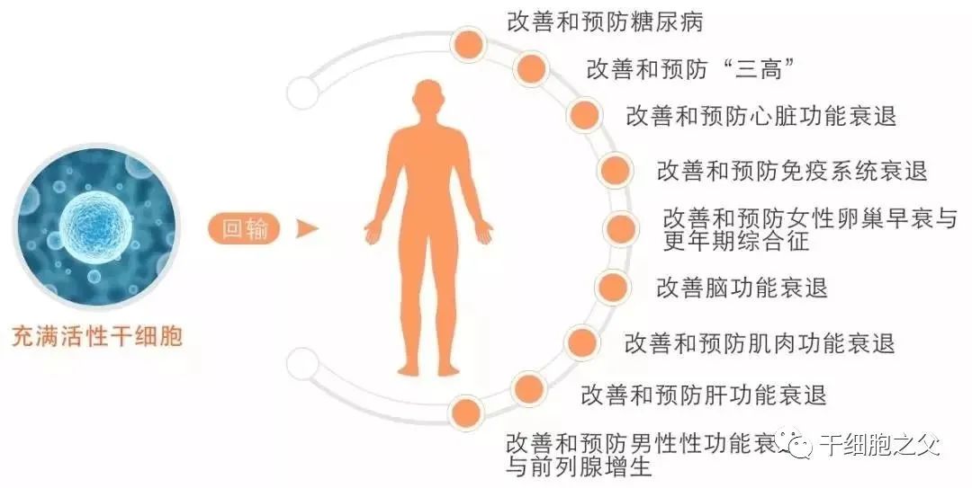 干细胞一次性征服人类三大天敌： 衰老、免疫力、癌症