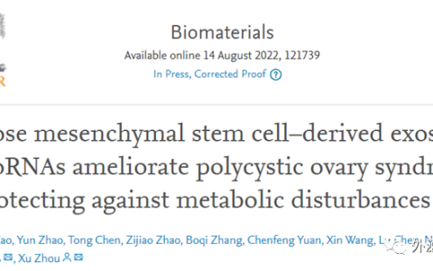 Biomaterials | 吉林大学周虚、李纯锦团队：脂肪间充质干细胞外泌体通过防止代谢紊乱改善多囊卵巢综合征