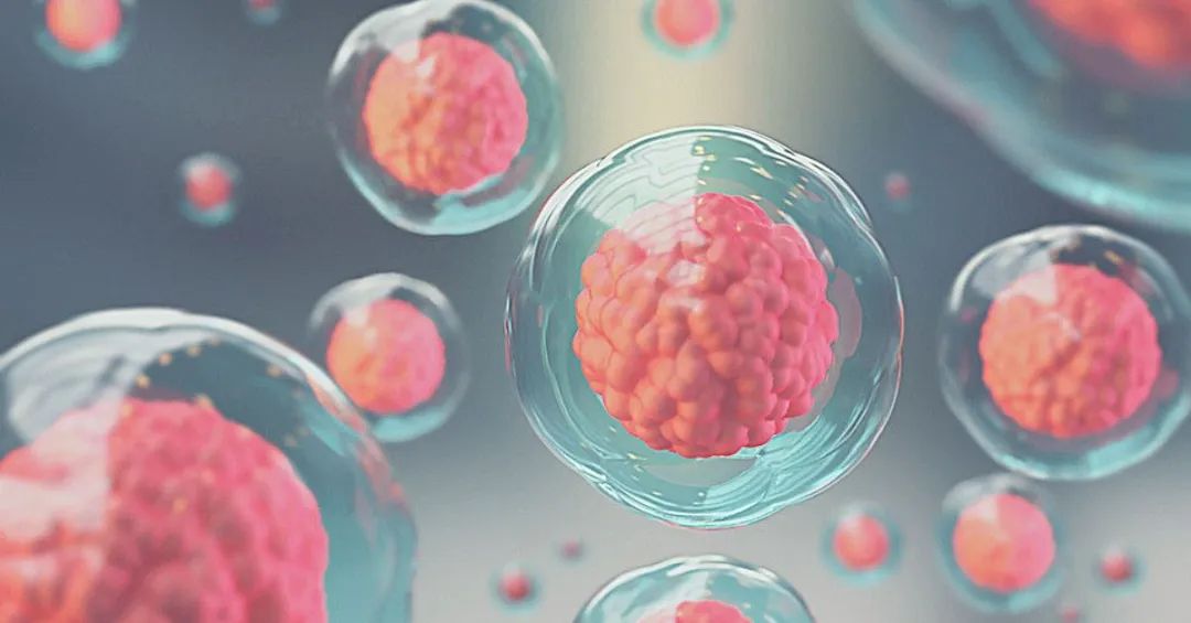 如何理解干细胞的作用机制——归巢性？