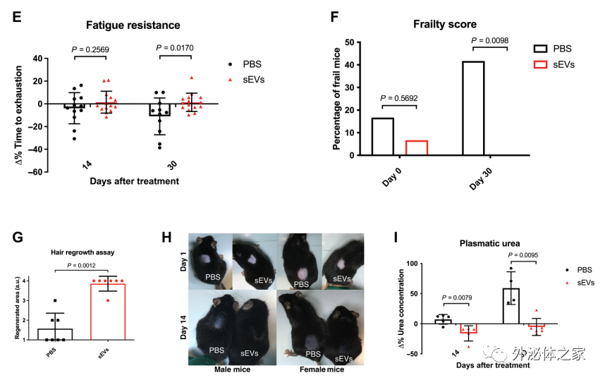 外泌体抗衰老：注射年轻的干细胞分泌的sEV可延缓多项衰老特征【Science子刊】