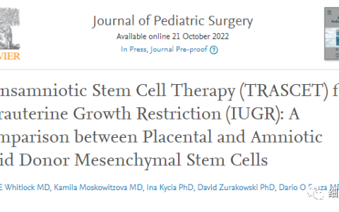 哈佛医学院：治疗宫内生长受限，胎盘和羊水间充质干细胞的比较