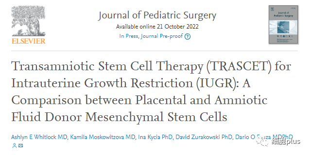 哈佛医学院：治疗宫内生长受限，胎盘和羊水间充质干细胞的比较