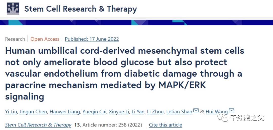 国际期刊首次揭示丨干细胞不仅降血糖，还能保护血管，抵抗糖尿病并发症