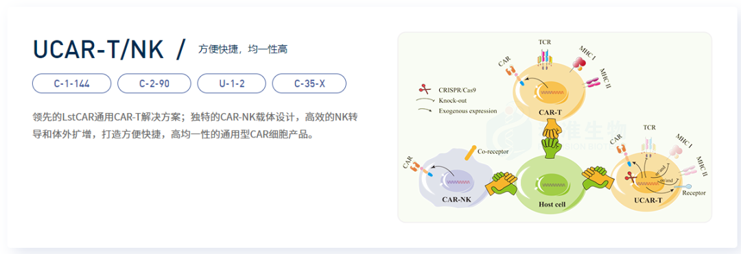两款国产CAR-NK疗法启动临床
