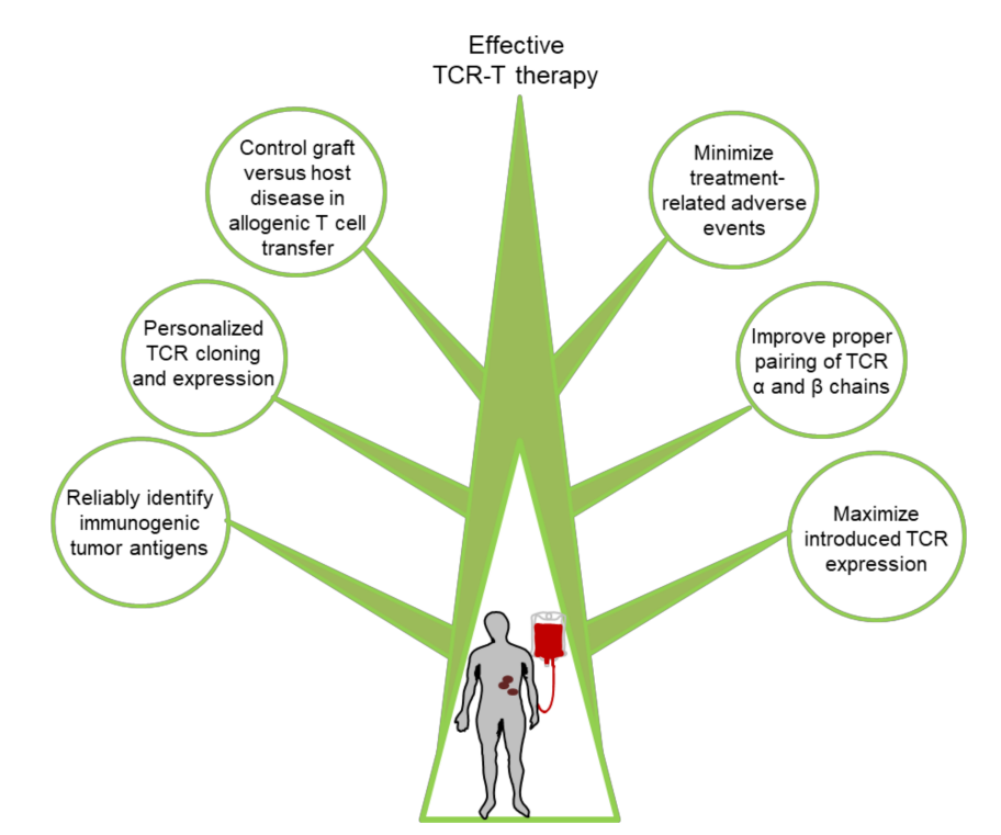 TCR-T细胞治疗的研究现状和挑战