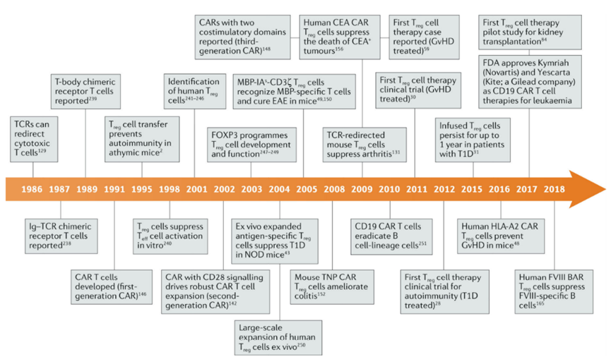新一代调节性T细胞疗法：CAR-Treg