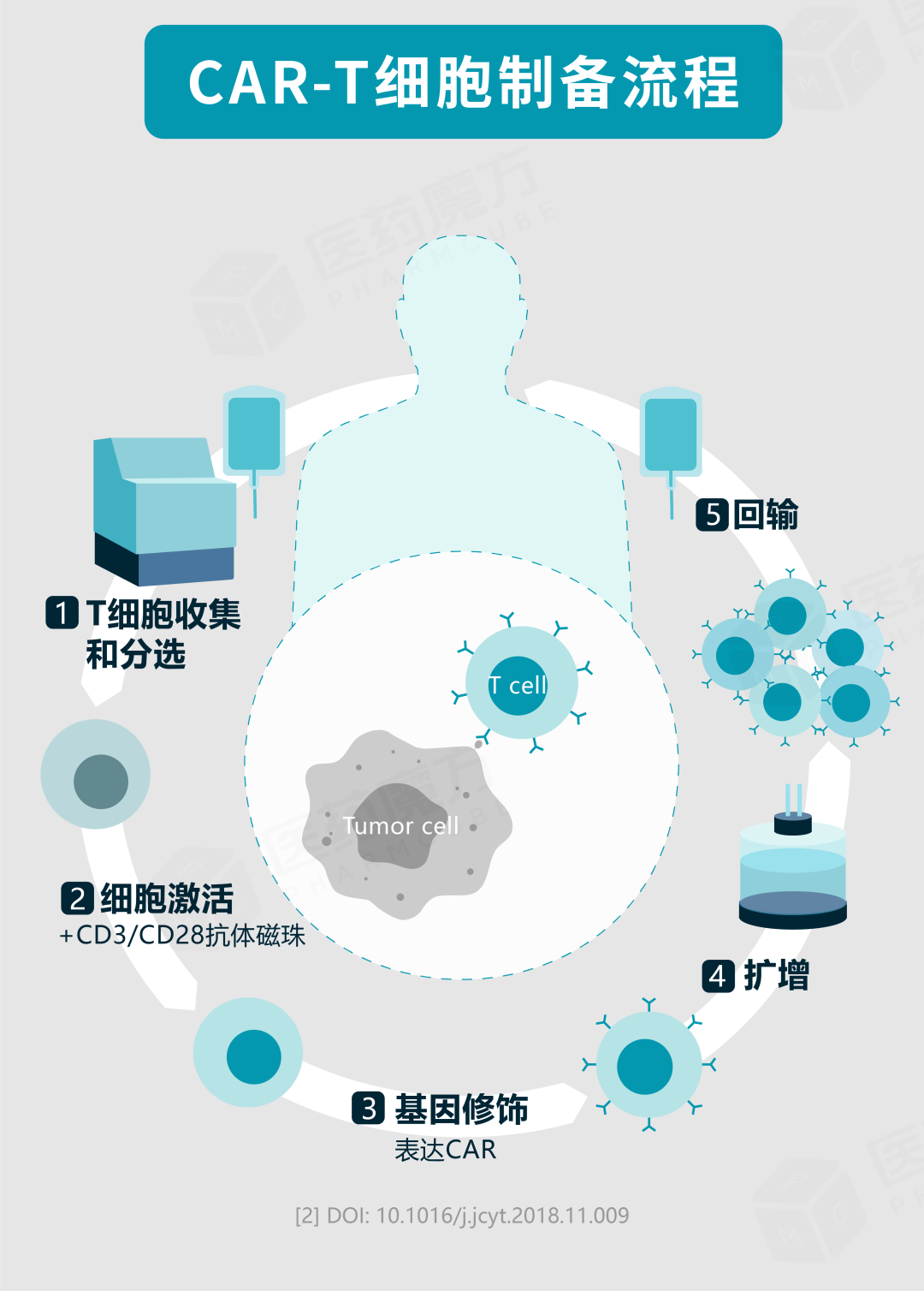 干货收藏：CAR-T细胞疗法「图鉴」