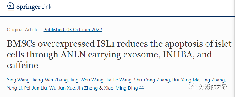Cell Mol Life Sci | 西安交通大学第一附属医院器官移植研究所丁小明：骨髓间充质干细胞预防移植胰岛凋亡的新机制