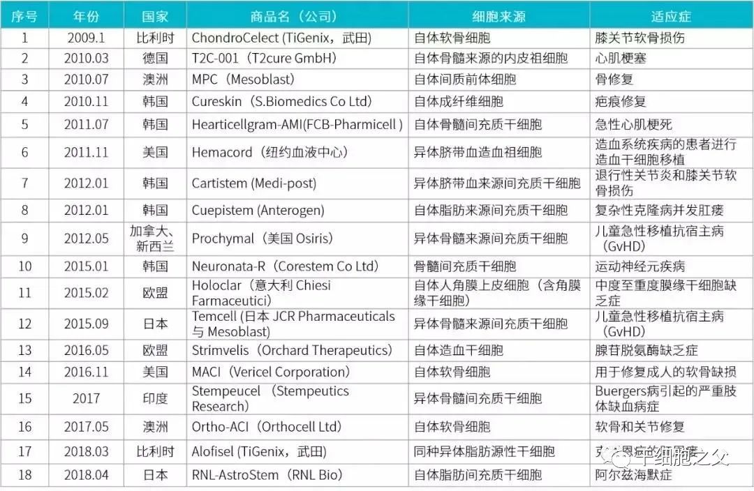 干细胞应用：自体和异体的干细胞，哪个更好？