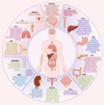 重磅盘点 | 肺癌、胃癌、胰腺癌、乳腺癌等，12大常见实体瘤CAR-T疗法进展全览（一）